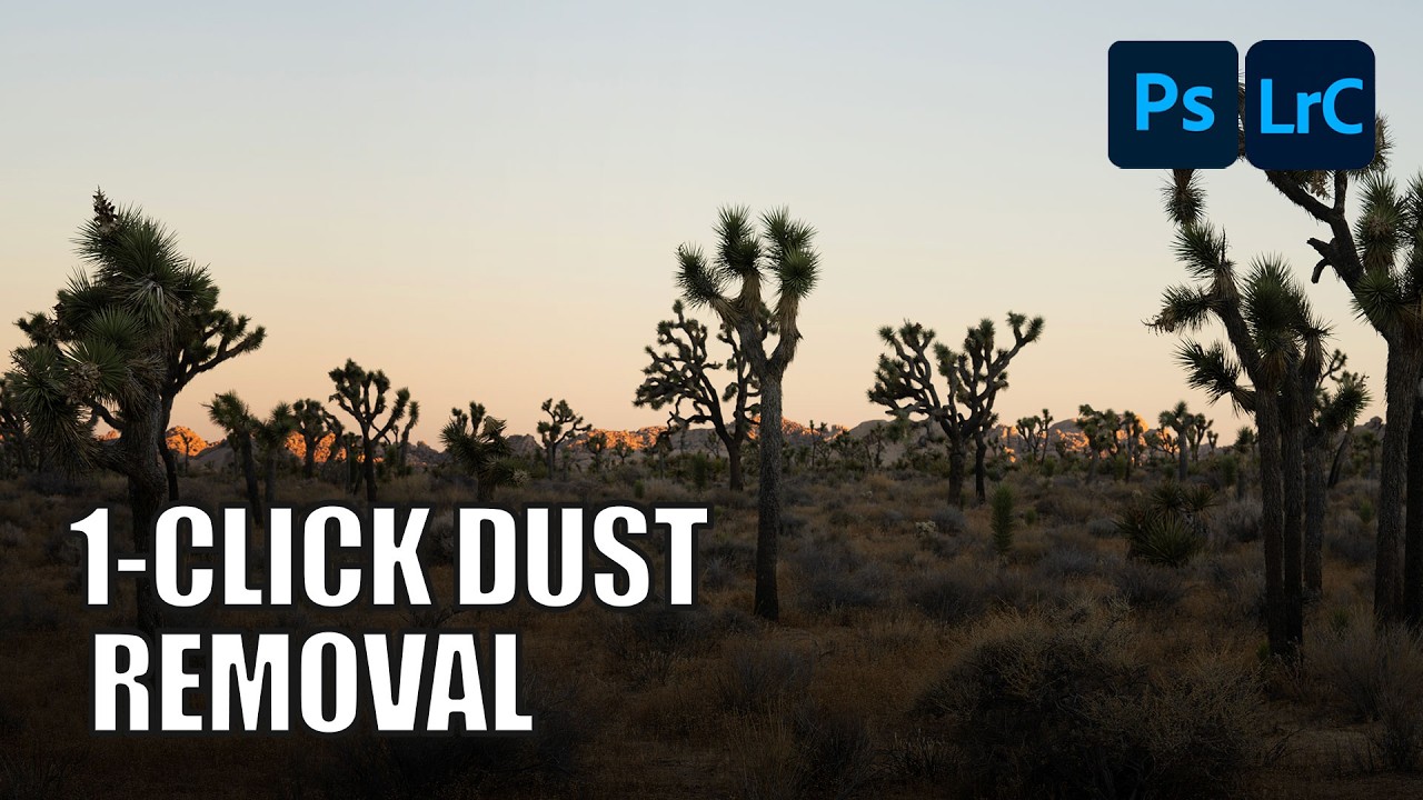 AI Dust Removal Is Here and It'll Save You Hours of Clone Stamp Hell