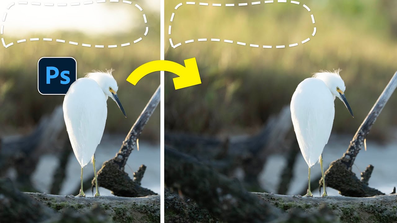 Content-Aware Fill Isn't Dead — Here's When to Reach for It Over Generative Fill