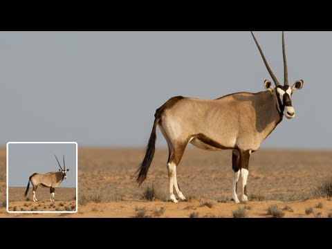 Fake the Bokeh: How to Use Photoshop's Tilt-Shift Blur to Make Any Photo Look More Cinematic
