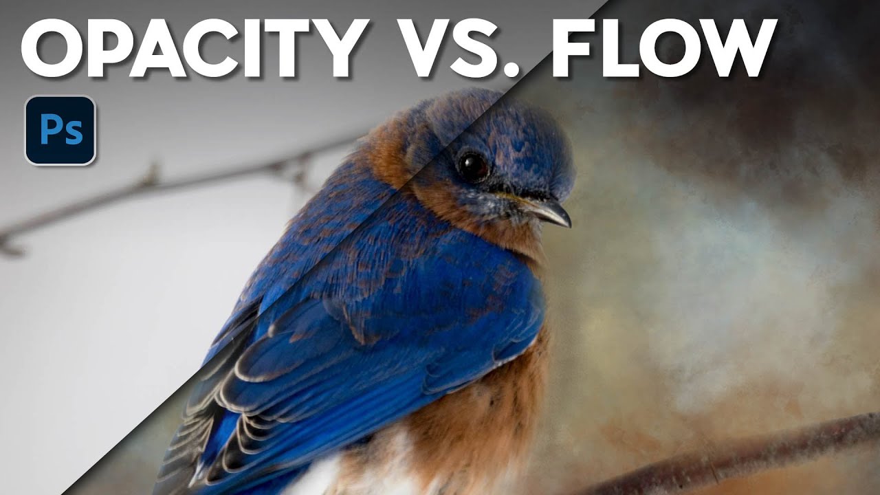 Flow vs. Opacity: The Brush Setting You're Probably Ignoring (And Why It's Costing You)