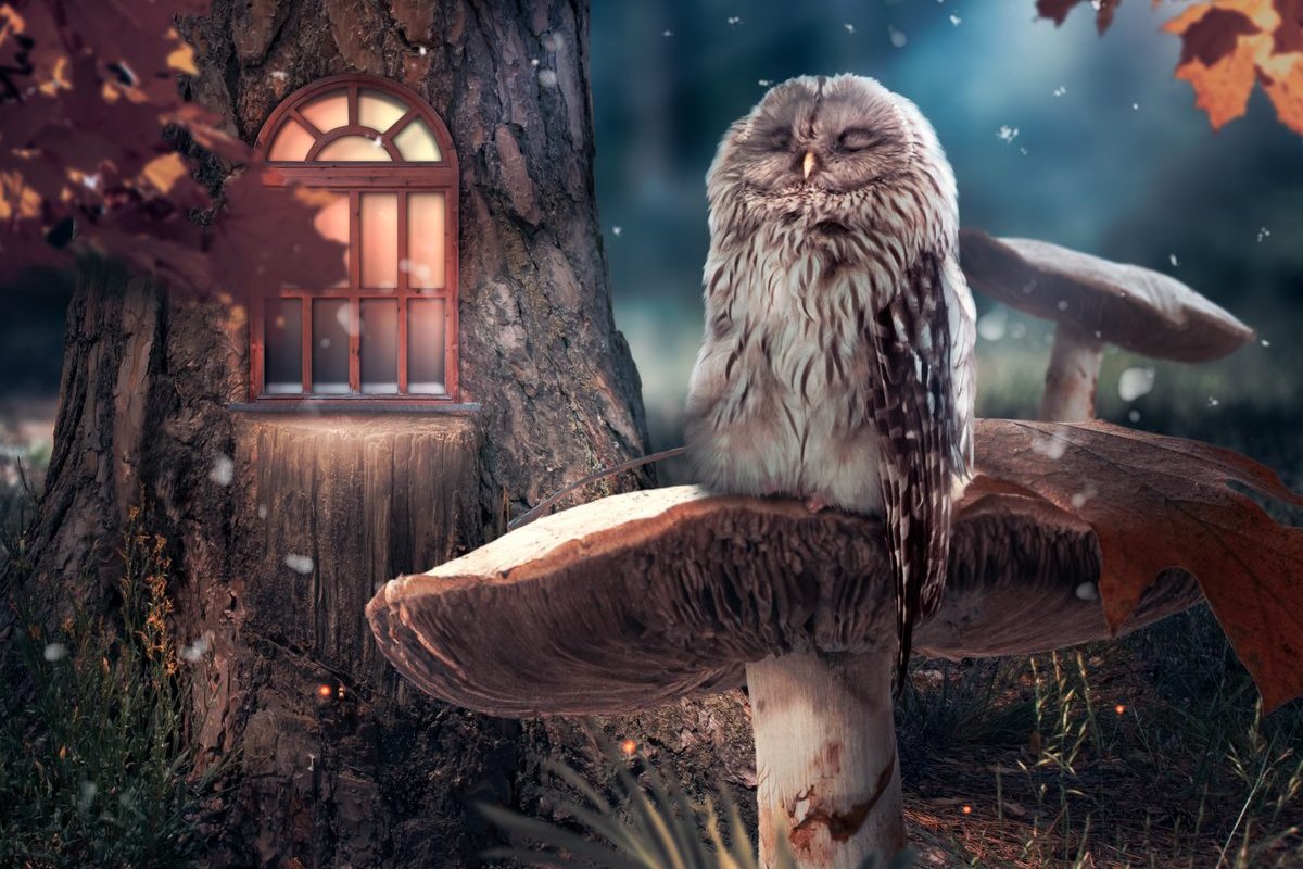 How a $15 Amazon Filter Helped Cinematographer Nail 'Project Hail Mary's' Stunning Visuals