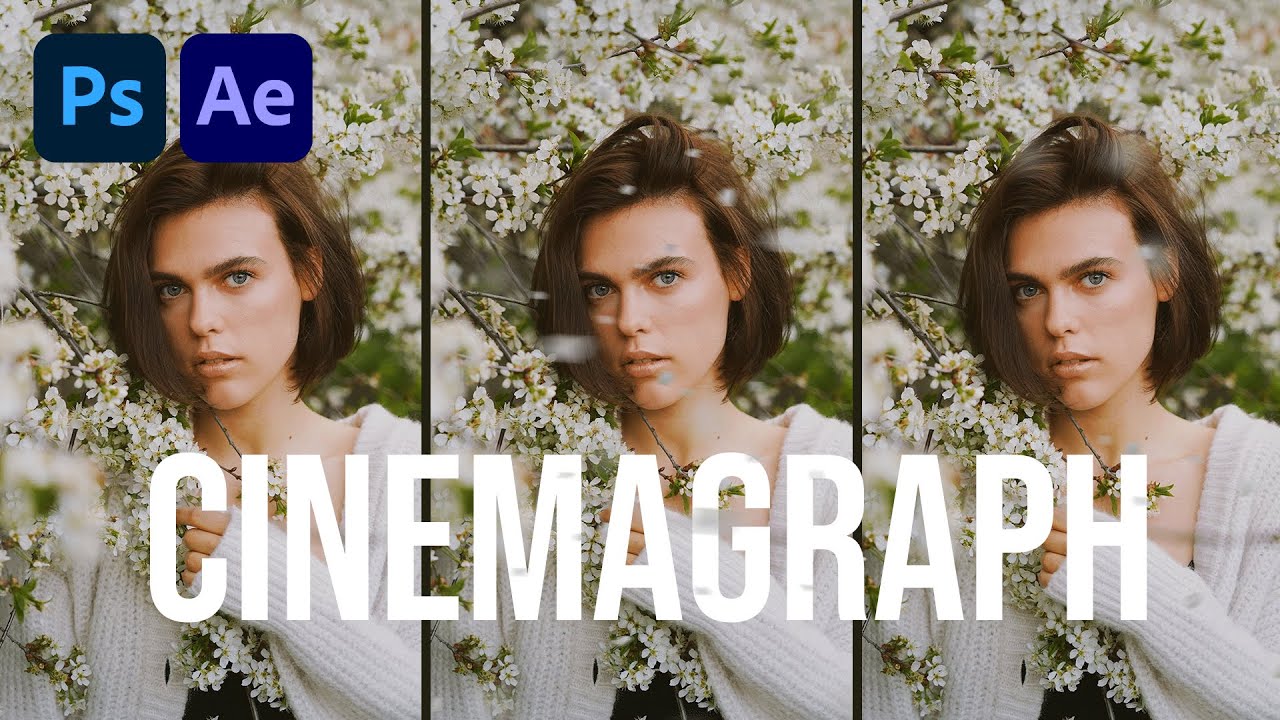 How to Make a Cinemagraph in Photoshop and After Effects (Falling Petals Tutorial Breakdown)