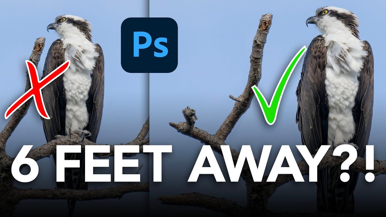 How to Push a Branch (or Anything) Out of Your Subject's Space in Photoshop