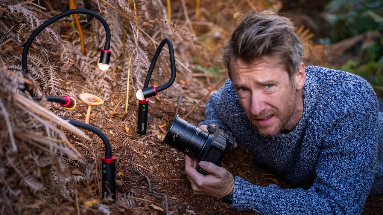 Macro Photography on a Budget: What Extension Rings, Tiny Lights, and One Very Uncooperative Camera Taught Me