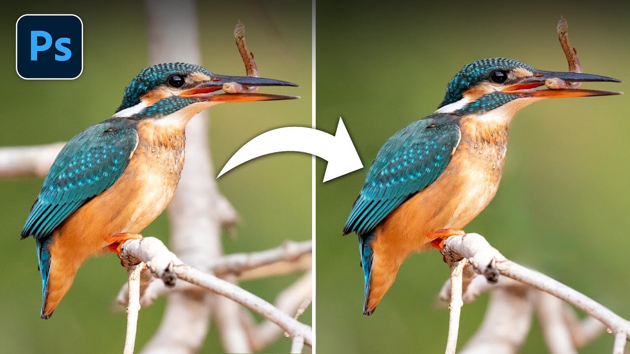 One Tool to Rule Them All: How the Photoshop Remove Tool Changed My Retouching Workflow