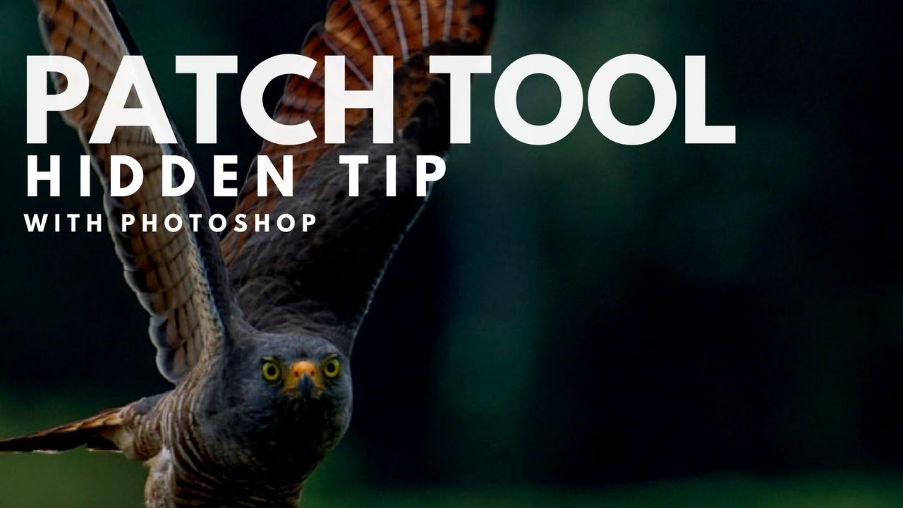 Stop Blaming the Patch Tool — You Just Need to Adjust One Setting
