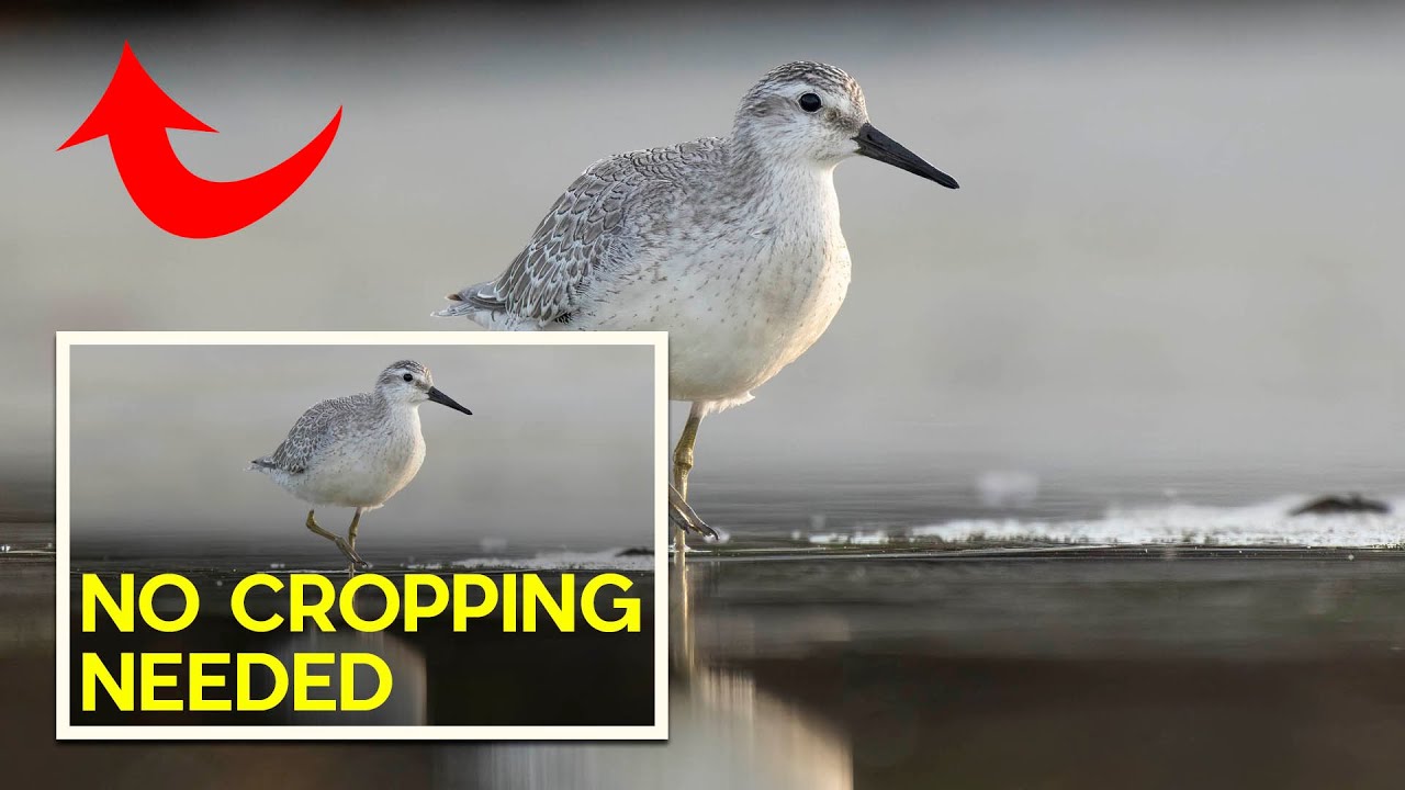 Stop Fighting Your Backgrounds: A Smarter Photoshop Trick for Messy Shots