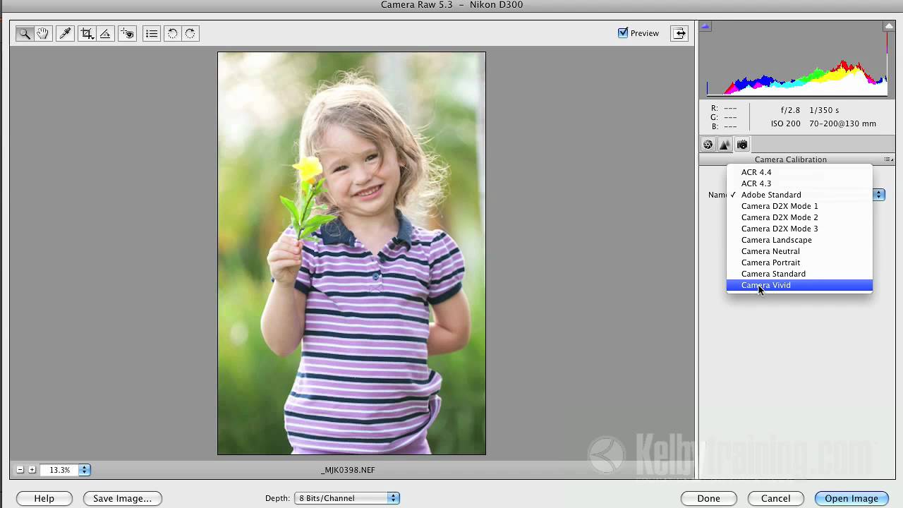 Stop Wondering Why Your Raw Photos Look Worse Than Your Camera Screen
