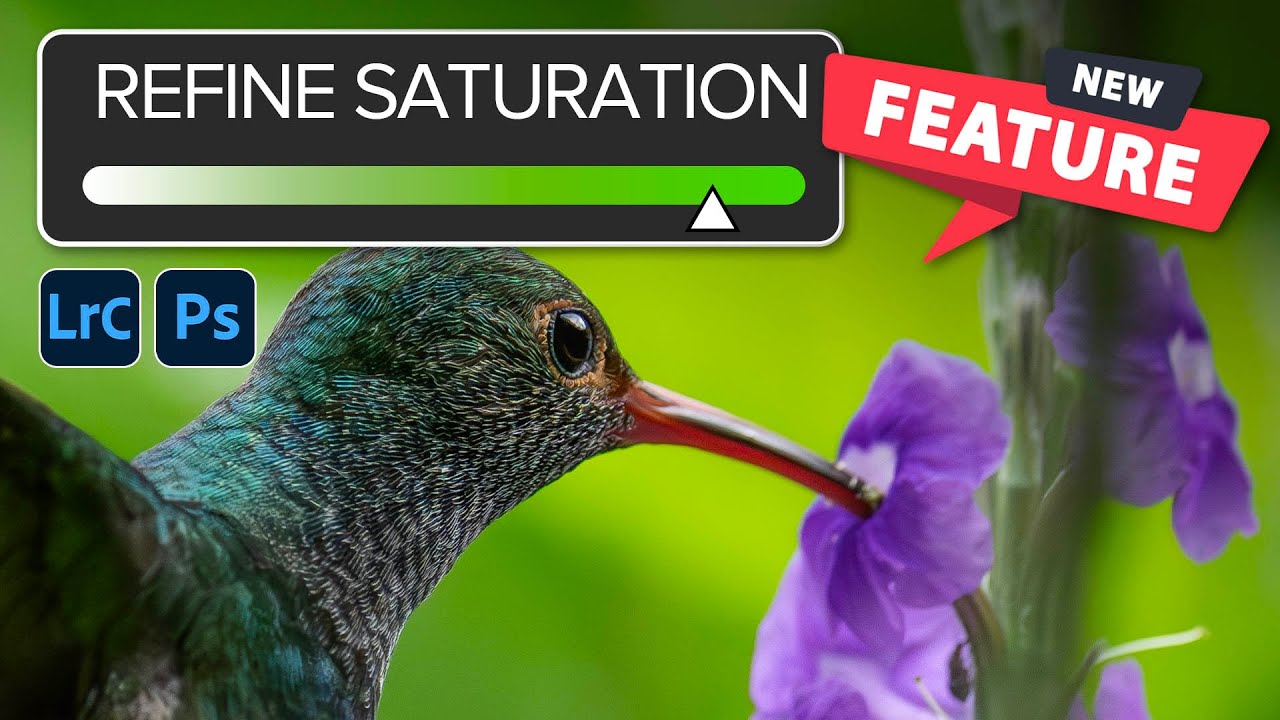 The Curves Fix You Didn't Know You Needed: Refine Saturation in Lightroom and Camera Raw