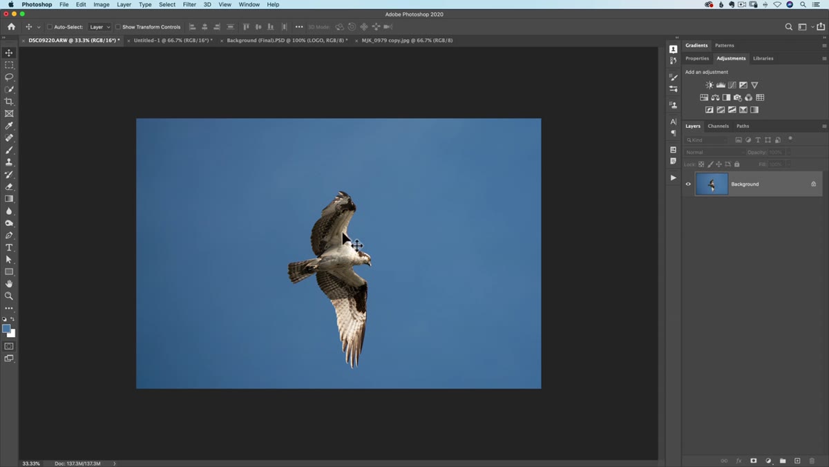 Free Transform scaling symmetrically from center point