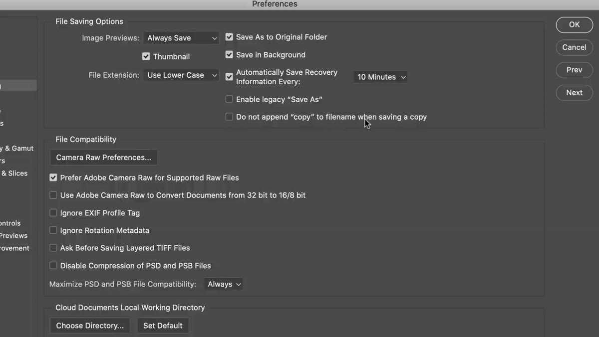 Both checkboxes checked in File Handling preferences panel