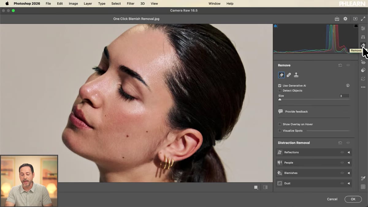 Distraction Removal panel open showing the Blemishes section and Apply button