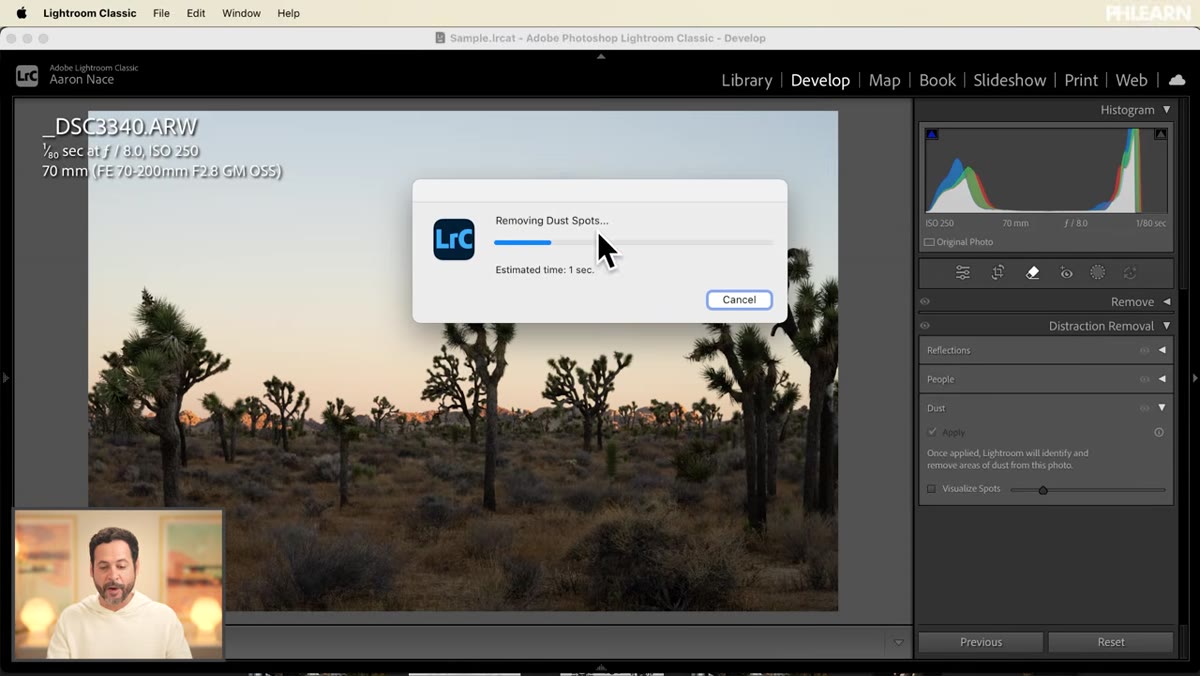 Dust removal panel with Apply button highlighted