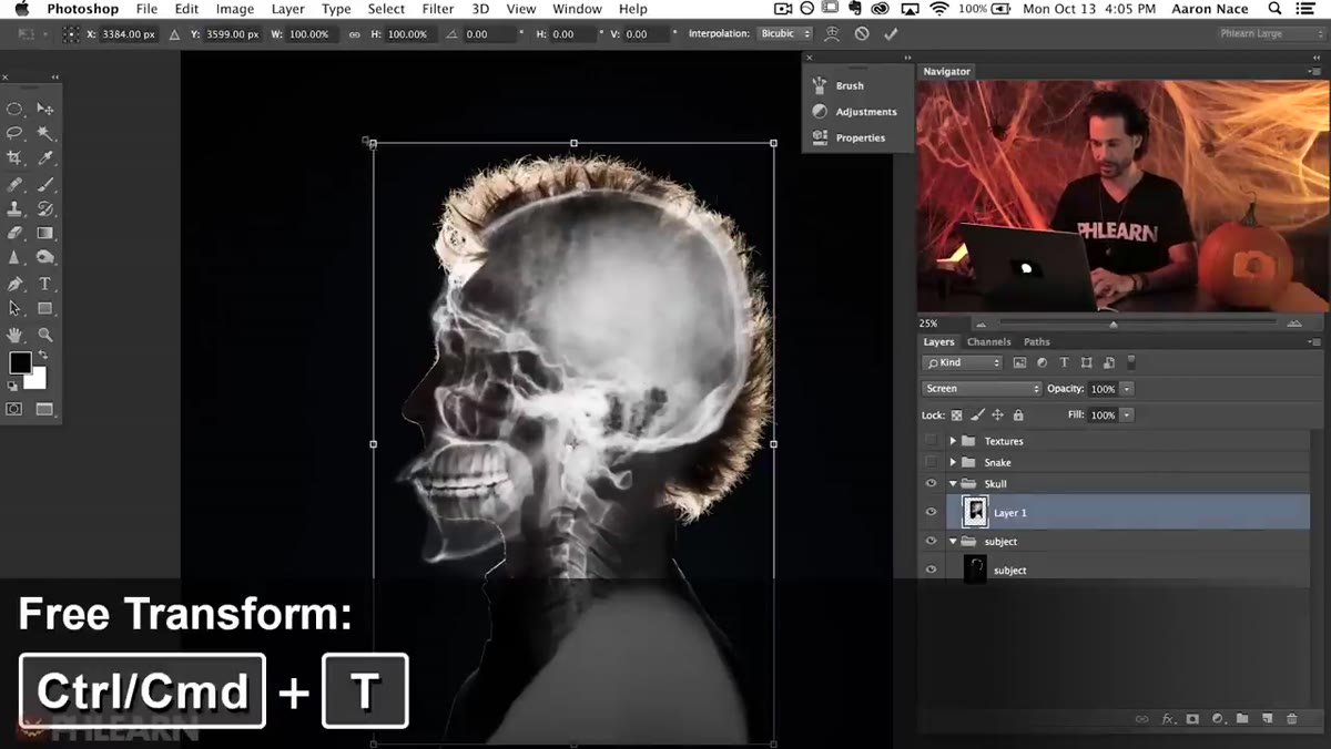 Free Transform handles visible around skull layer