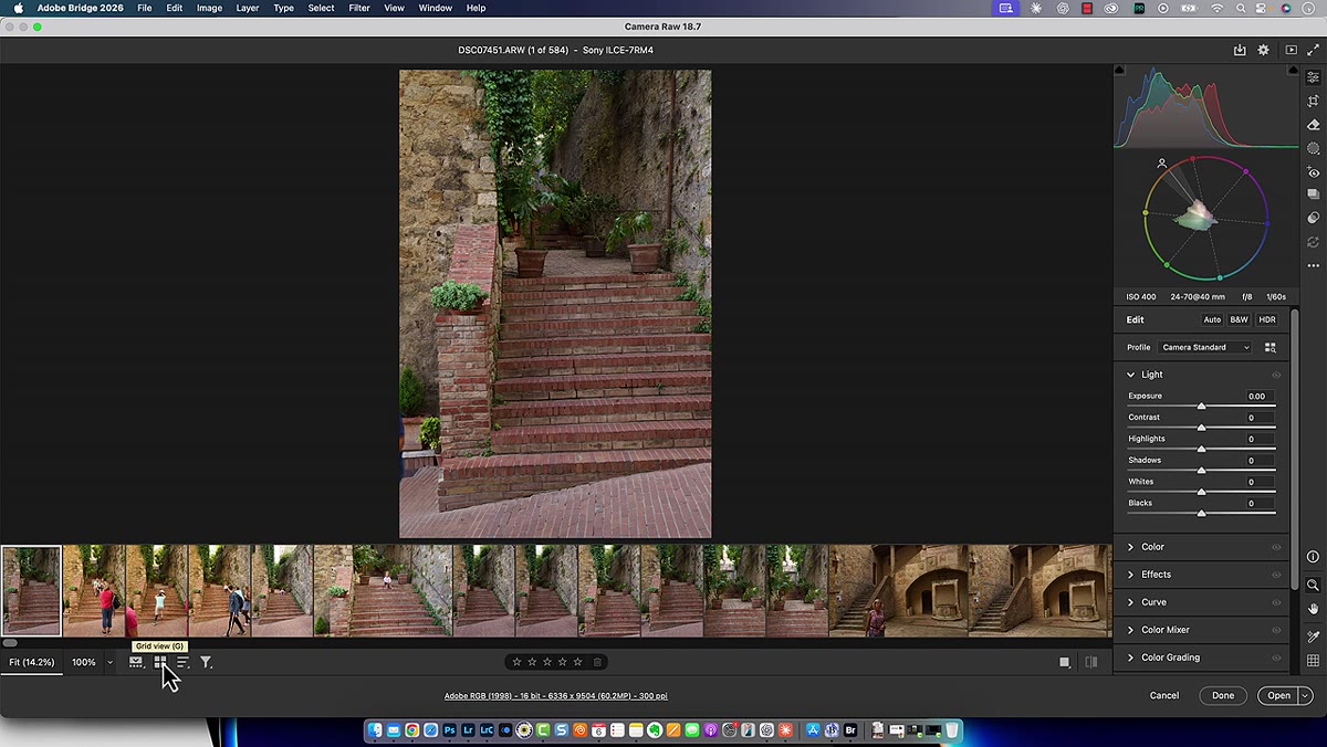 Camera Raw interface showing new grid mode icon at bottom