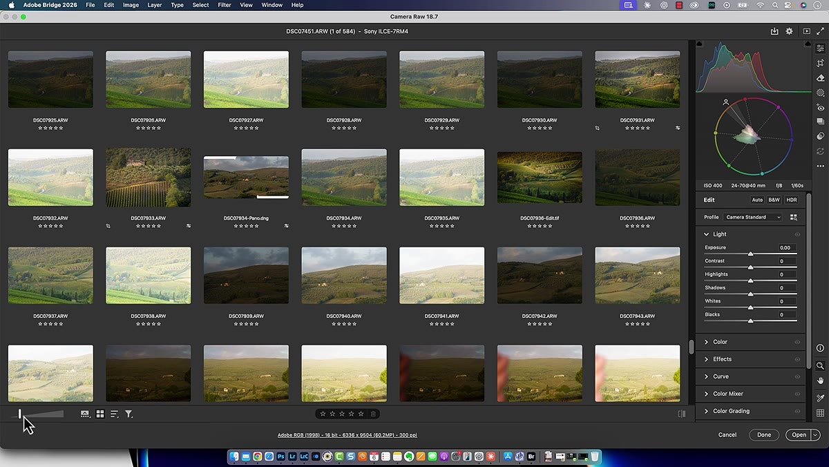 Thumbnail size slider visible at bottom of Camera Raw grid view