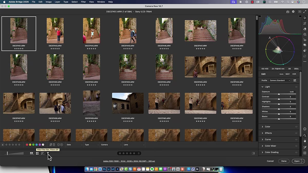 Filter panel open in Camera Raw showing rating and label filter options