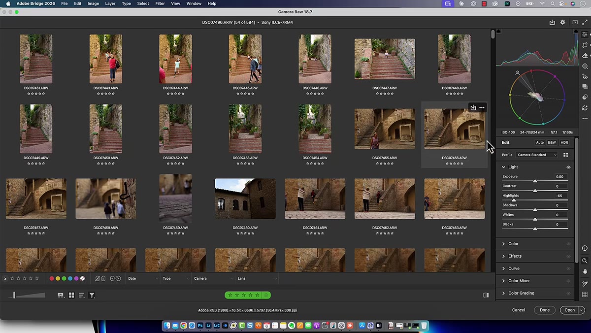 Camera Raw edit panel open alongside filtered grid of photos