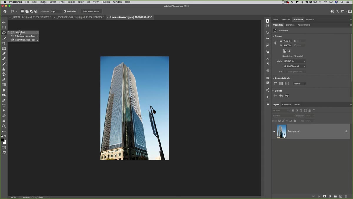 Lasso tool active, loose selection drawn around distraction