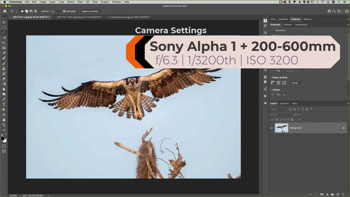 Content Aware Fill result showing unwanted pixels pulled in from elsewhere
