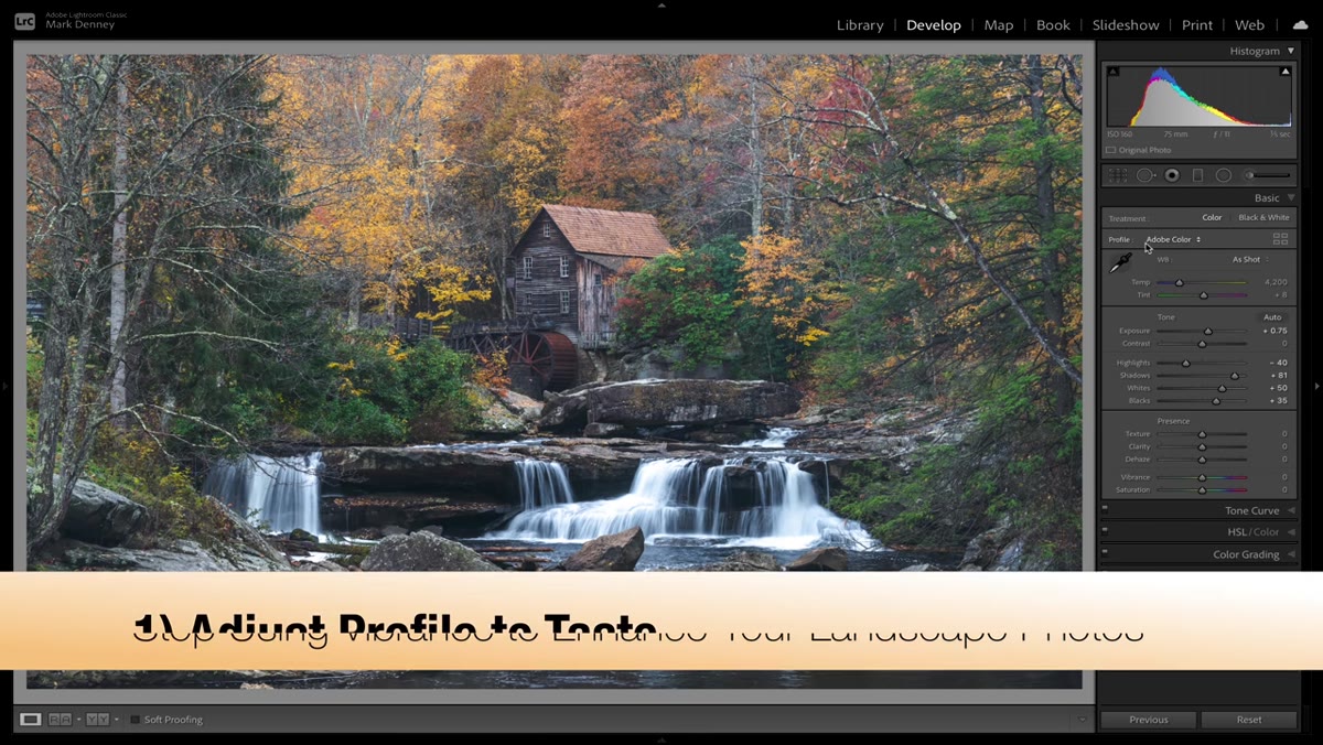 Switching profile from Adobe Color to Adobe Landscape in Lightroom
