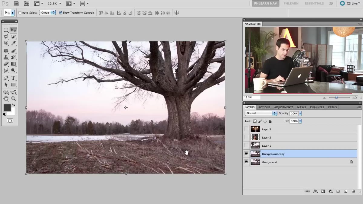 Duplicated tree layer being stretched and repositioned on canvas