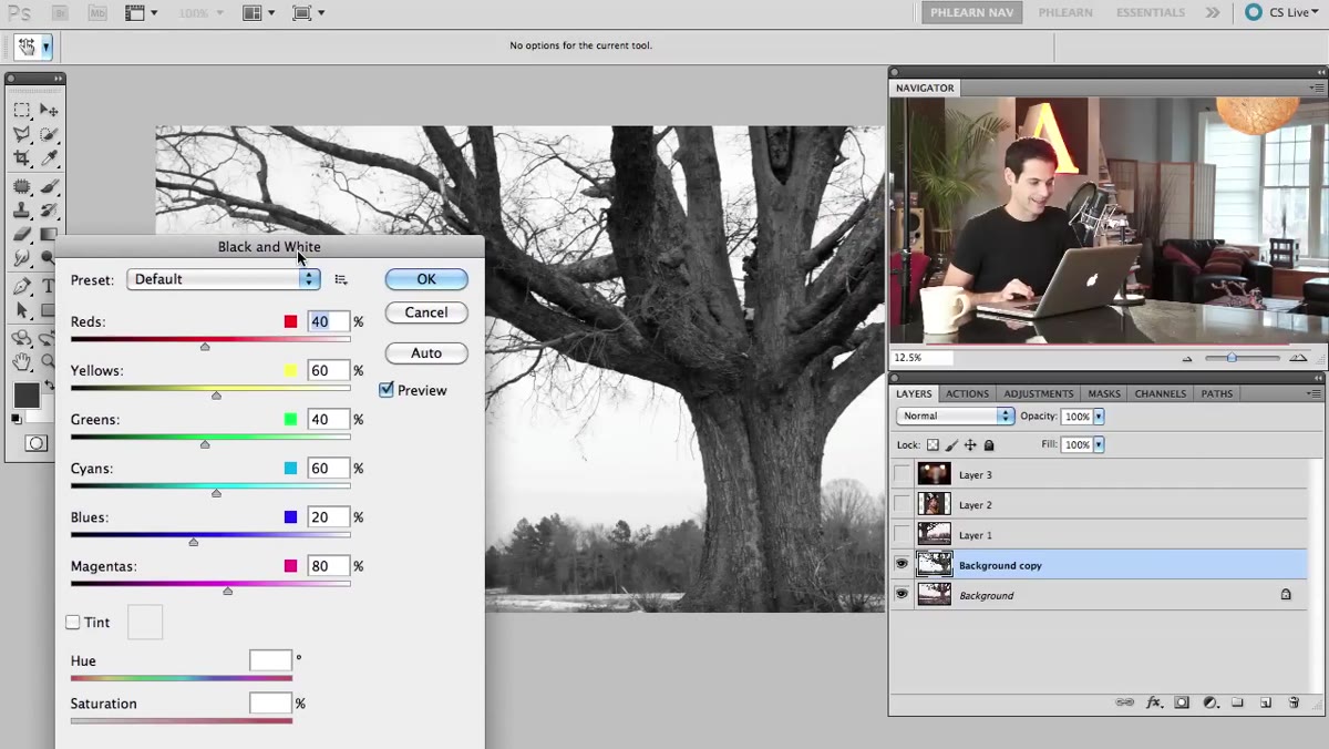 Tree layer selected with luminosity-based selection active in Photoshop