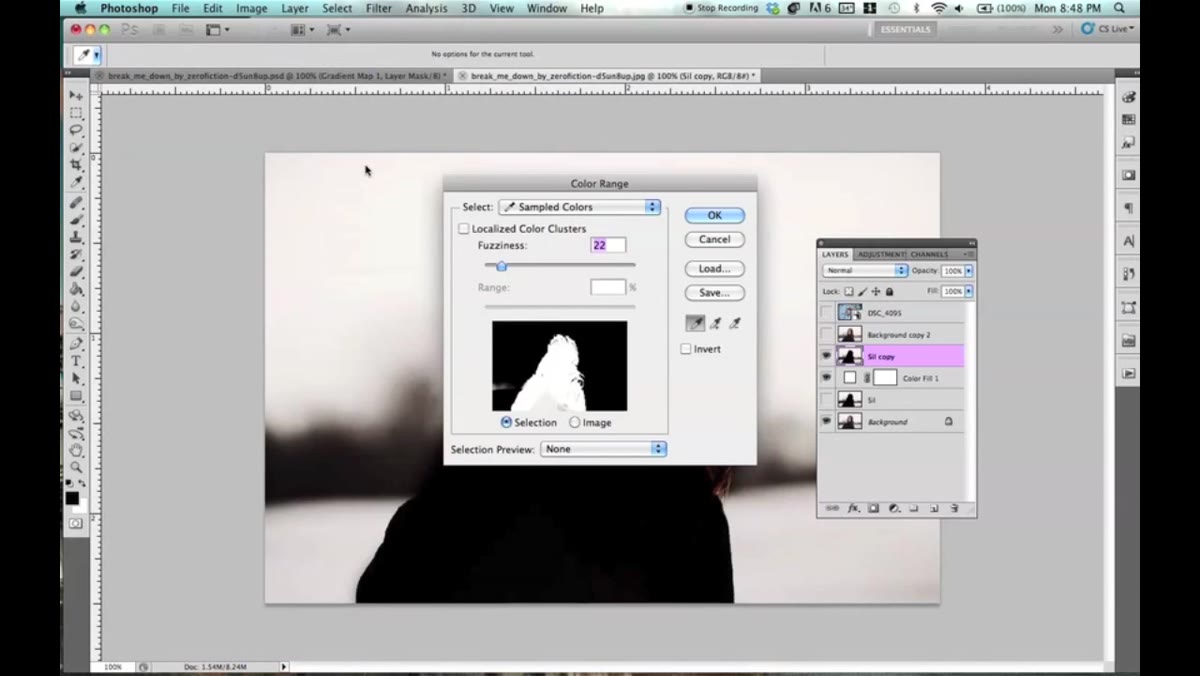 Color Range dialog with white background selected in preview