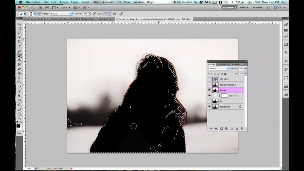 Layer mask applied to silhouette layer, showing subject cutout
