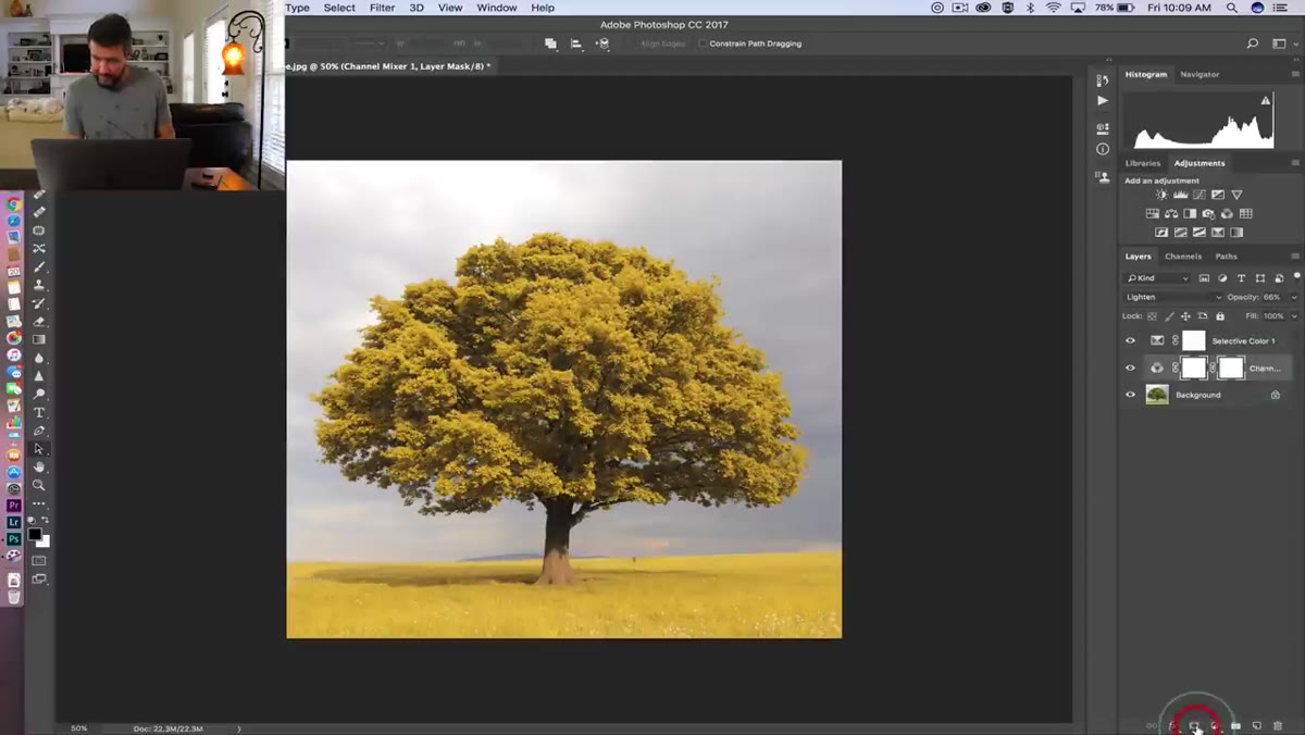 Layer mask being painted on grass area with soft brush in Photoshop