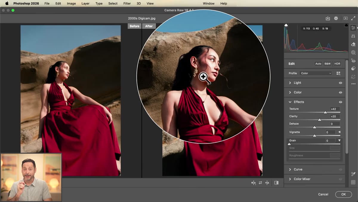 Image zoomed to 100% showing before and after detail comparison