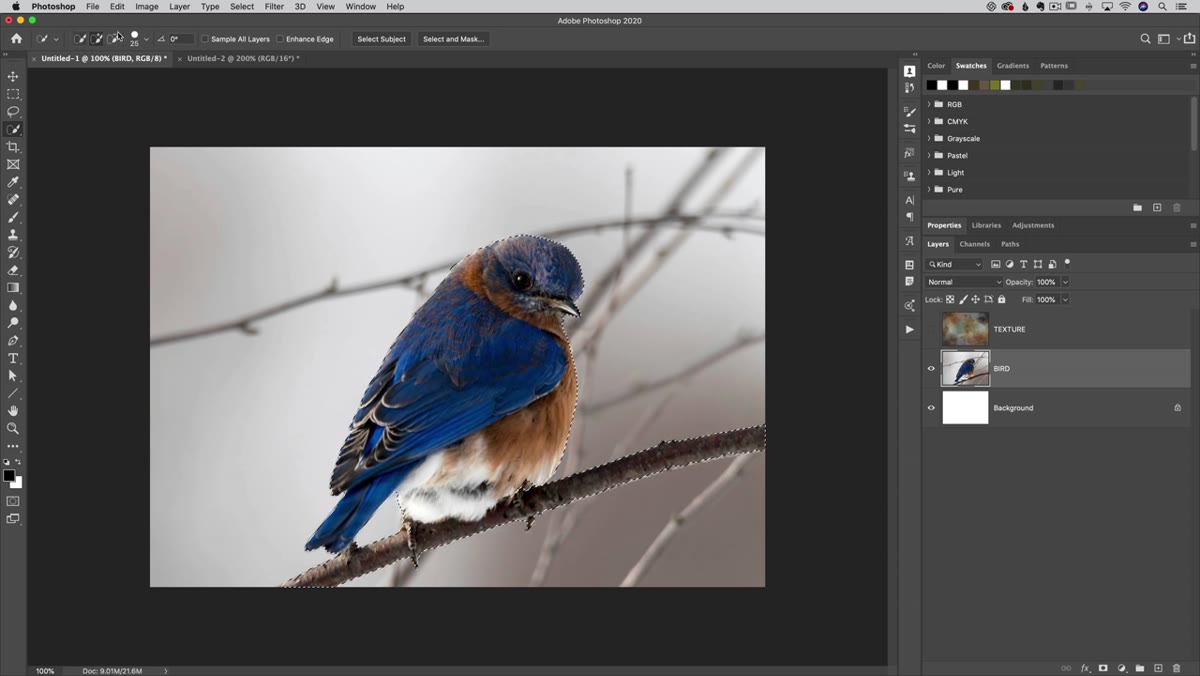Quick selection tool refining edges in subtract mode