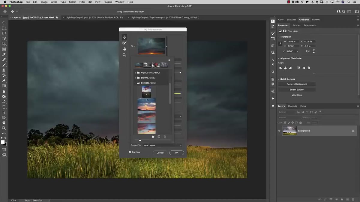Export Selected Skies option in gear menu with skies selected