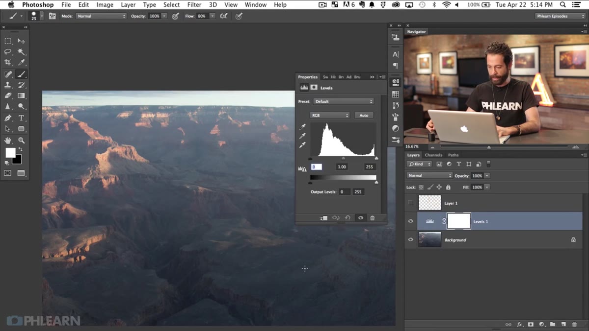 Levels adjustment layer panel open in Photoshop