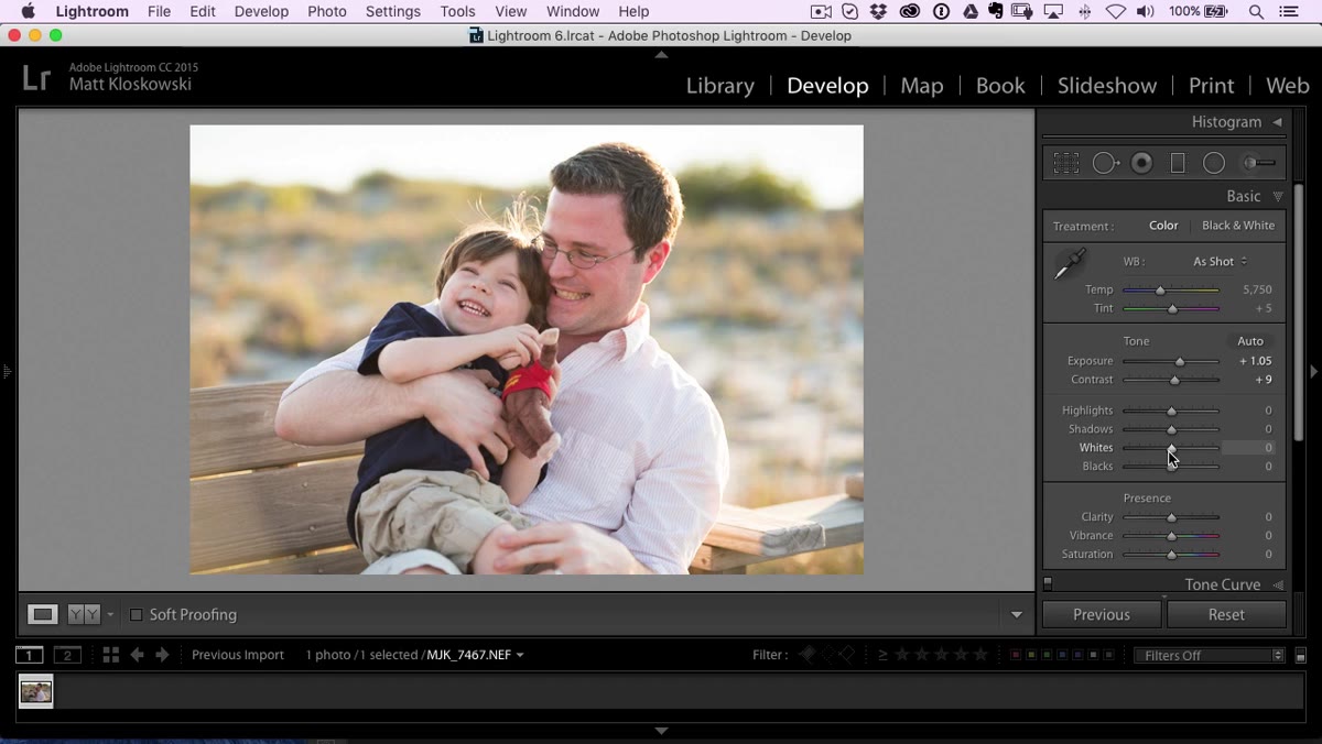Whites and Blacks sliders in Lightroom with Alt key clipping view