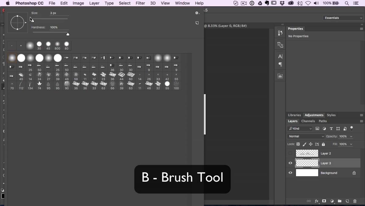 Brush tool settings panel showing small size and 100% hardness