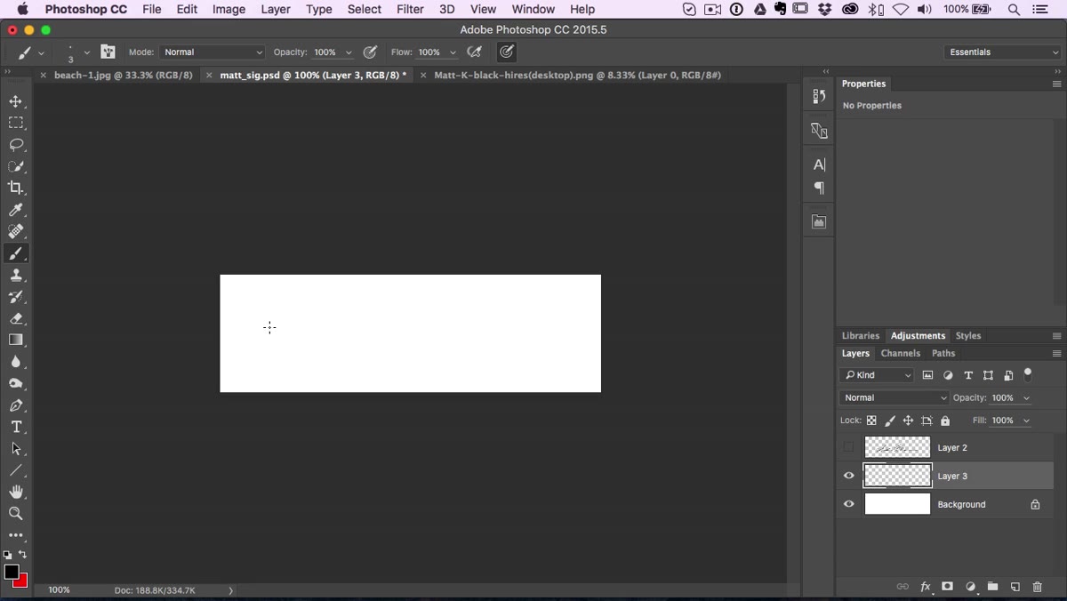 Hand-drawn signature strokes being painted on a blank Photoshop layer