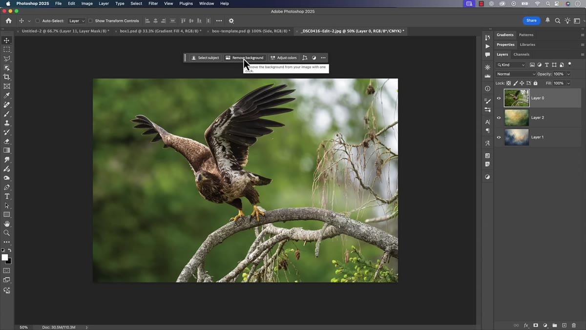 Contextual taskbar showing Remove Background button highlighted