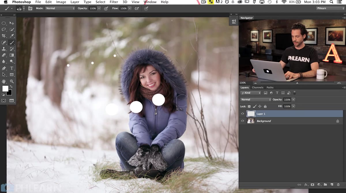 White snow dots painted across the photo with brush settings applied