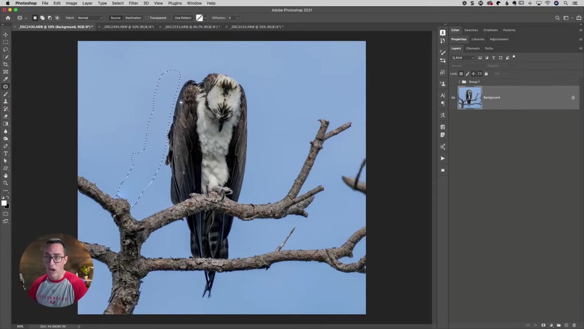 Before and after showing branch repositioned with more breathing room