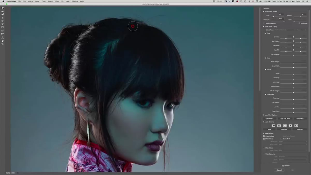 Liquify workspace open with Forward Warp tool active on subject&rsquo;s hair