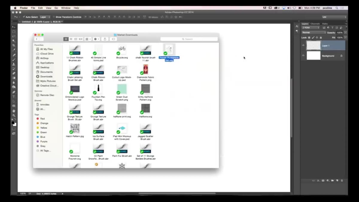 SVG file open in Illustrator with vector elements visible