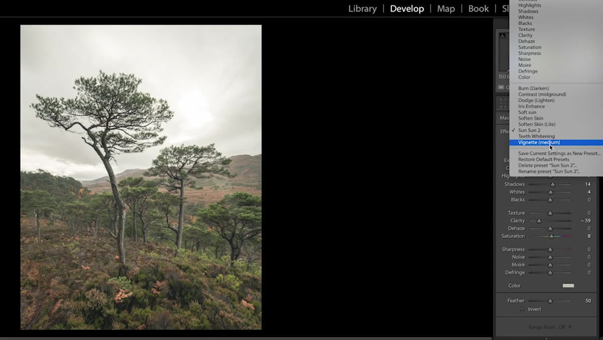 Radial filter expanded to image edges creating custom vignette effect