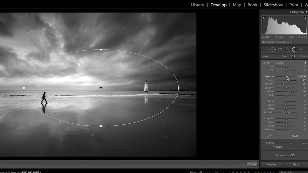 Multiple radial filter pins visible on landscape image