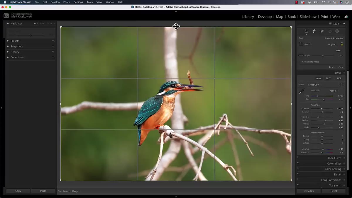 Crop being applied tightly to the photo in Lightroom