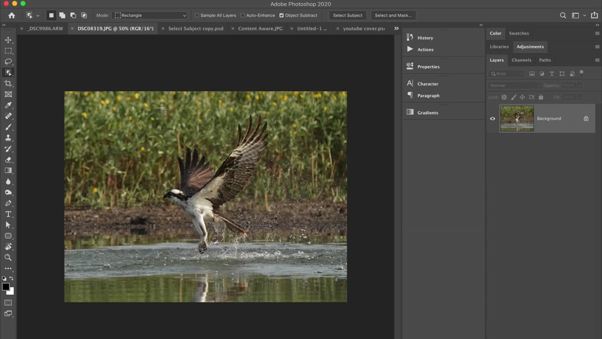 Busy background photo open in Photoshop, subject visible but surrounded by clutter