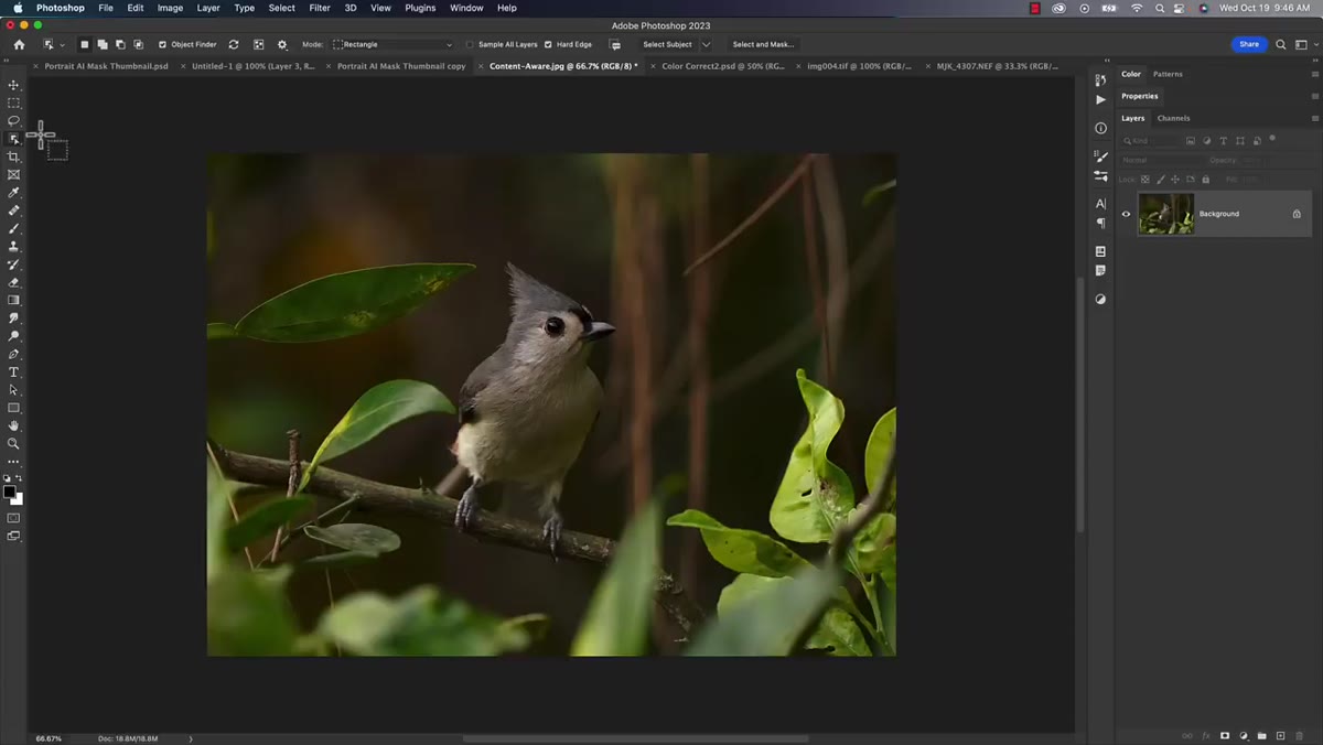 Object Selection Tool highlighted in the Photoshop toolbar