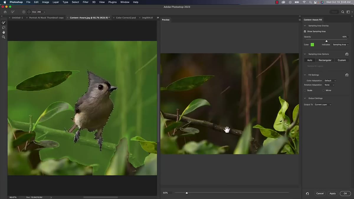 Content Aware Fill workspace open with sampling area controls visible