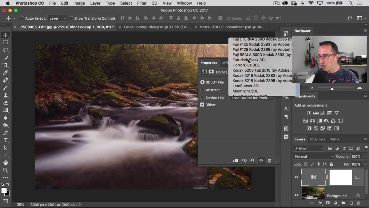 Kodak LUT applied showing muted blacks and flat contrast