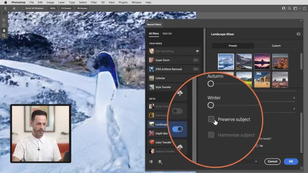 Preserve Subject checkbox being toggled in the Landscape Mixer panel